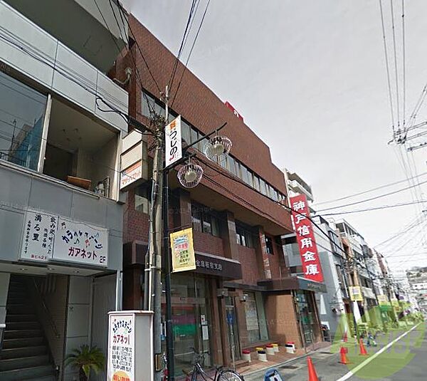 画像30:神戸信用金庫 板宿支店 801m