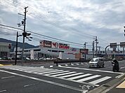 スーパーセンターオークワ海南店まで1245m