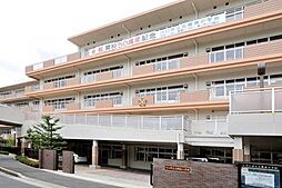 [周辺] 川口市立元郷南小学校まで800m、2012（平成24）年に開校50周年を迎えた「川口市立元郷南小学校」