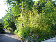 神奈川県足柄下郡箱根町宮城野：物件画像