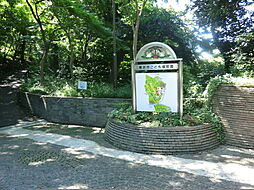 [周辺] 横浜市こども植物園まで600m