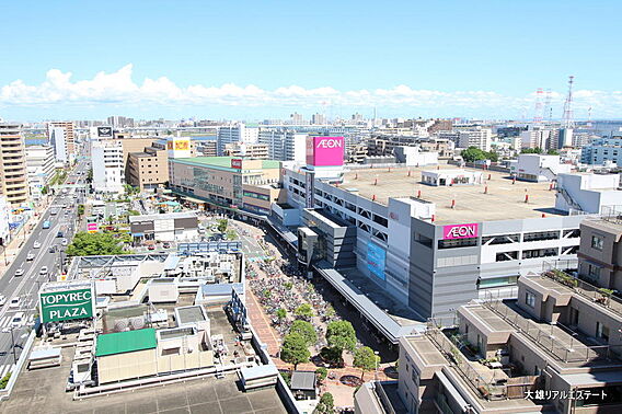 トピレックプラ...