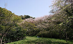 [周辺] 【公園】桜山中央公園まで870ｍ