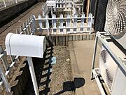 小さなお庭があります。