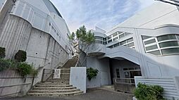 [周辺] 【中学校】横浜市立中川中学校まで842ｍ