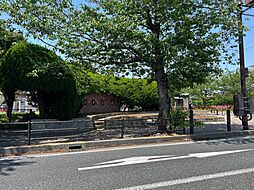 [周辺] 大津公園　1300m　運動場、野球場、相撲場、11面の テニスコートがあり、様々なスポーツ大会などにも利用されています。 