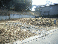 茨城県小美玉市中延676-48：物件画像