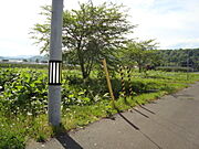 平坦”