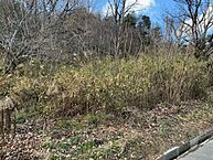 兵庫県加東市松沢：物件画像