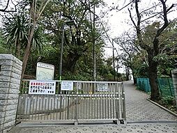 [周辺] 横浜市立浜中学校まで1222m