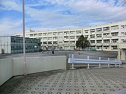 [周辺] 横浜市立本宿小学校まで650m