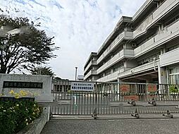 [周辺] 横浜市立滝頭小学校まで527m、学校教育目標：手をつなごう　笑顔いっぱい　大好き滝小