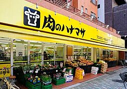 [周辺] 【スーパー】肉のハナマサ　湯島店まで49ｍ
