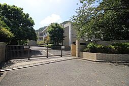 [周辺] 【高校】神奈川県立横須賀南高等学校まで122ｍ
