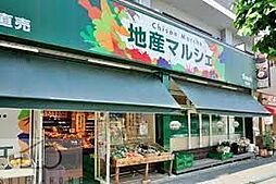 [周辺] 地産マルシェ笹塚店 徒歩10分。 730m