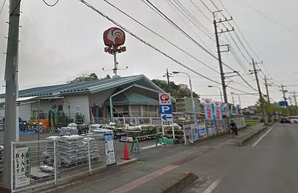画像17:コメリ　太田大島店（619m）