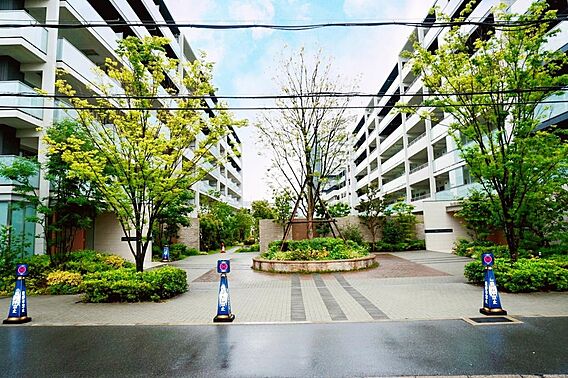 ２０１７年建築...