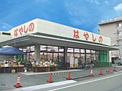 はやしの田寺店　約370ｍ（徒歩5分）