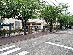 [周辺] 横浜市立南台小学校まで750m