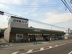 [周辺] 京急ストア磯子岡村店まで400m、笹堀交差点近くにあるスーパー。夜21時まで営業しています。
