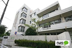 [周辺] 小学校「横浜市立大鳥小学校まで738m」