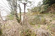 太陽光用地にもおススメです。