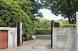 [周辺] 【博物館】東京大学総合研究博物館小石川分館まで445ｍ
