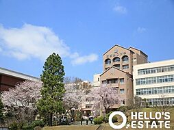 [周辺] 私立東京純心大学 徒歩67分。 5320m