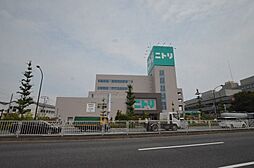 [周辺] ニトリ　大田大鳥居店 458m