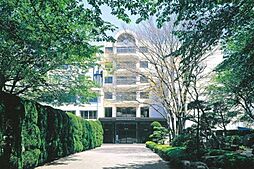 [周辺] 私立国際学院埼玉短期大学 2592m