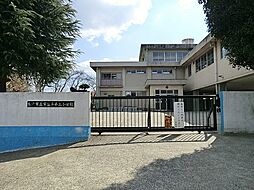 [周辺] 松戸市立常盤平第三小学校まで1083m