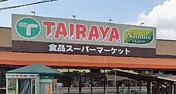 [周辺] TAIRAYA羽沢店(スーパー)まで664m