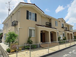 ラフィーネ