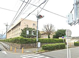 [周辺] 【中学校】厚木市立藤塚中学校まで710ｍ