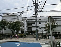 [周辺] 横浜市立本町小学校まで1100m