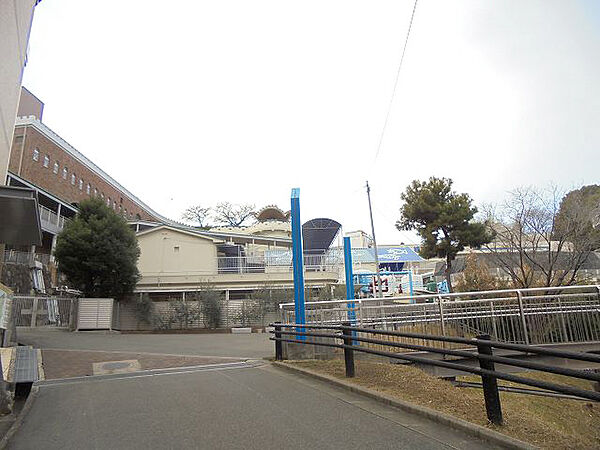 画像23:姫路市立水族館（1800ｍ）