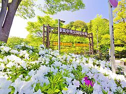 [周辺] 都筑中央公園　550m　自然と親しめる大型の公園。四季折々の草花が楽しめ、訪れた人を楽しませてくれます。 