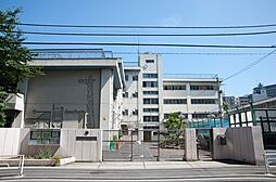 [周辺] 小学校「横浜市立南吉田小学校まで347m」