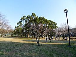[周辺] 【公園】東綾瀬公園まで3049ｍ