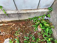 長崎県長崎市星取2丁目：物件画像