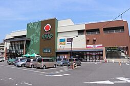 アルテマイスタールカ