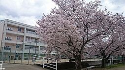 ビクトリア ジャスティス