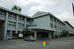 シャーメゾンガーデンズ神辺