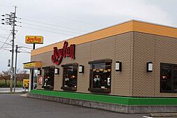 ラナンキュラス I