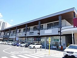 ビューラー・サン