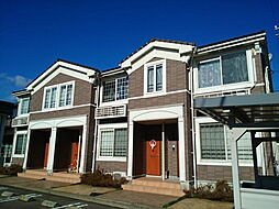 セレッソ　Ｃ 201