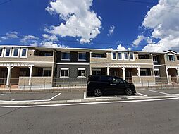 Ｃｏｔｔｏｎ　ｂａｒｌｅｙ