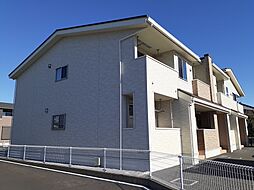 プラシードV 203