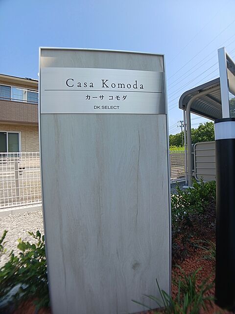 3 / 6