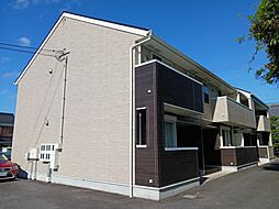 パディーポンド 101